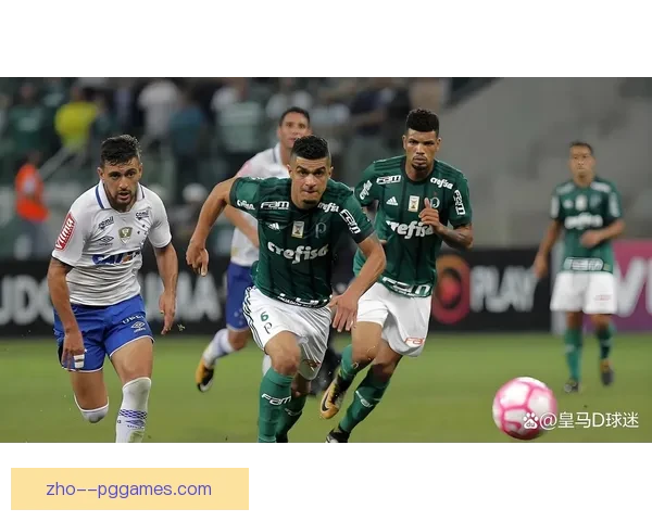 解放者杯激战：博塔弗戈主场迎战巴塞罗那SC 力争小组晋级